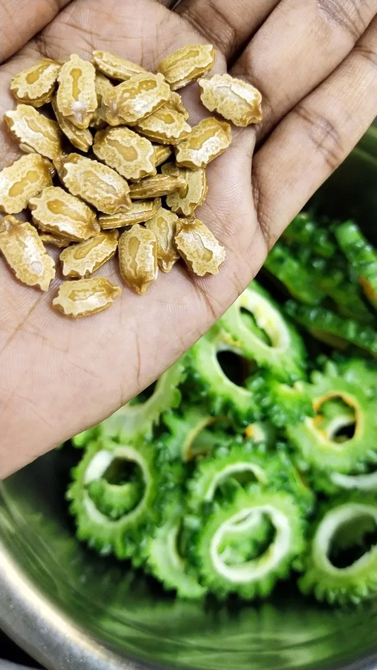 Healthy Bitter Gourd Seeds